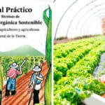 Guía de Agricultura Orgánica Sostenible PDF - Cultivando Flores