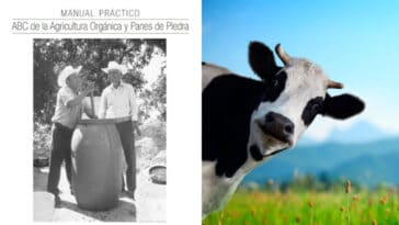 Guía para Preparar Biofertilizantes con Estiércol de Vaca PDF - Cultivando Flores