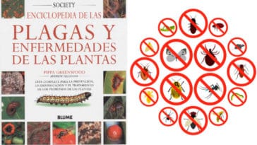 Libro para Identificar Plagas y Enfermedades de Plantas PDF - Cultivando Flores