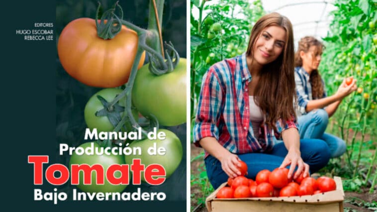Guía Practica para Cultivar Tomate PDF - Cultivando Flores