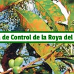 Guía de Control de la Roya del Café PDF - Cultivando Flores