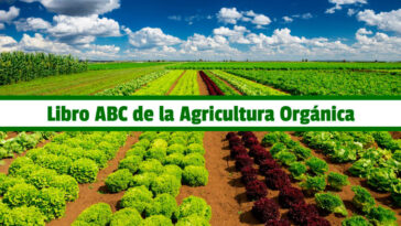 Libro ABC de la Agricultura Orgánica PDF - Cultivando Flores