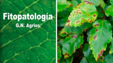 Libro de Fitopatología de George N. Agrios PDF - Cultivando Flores