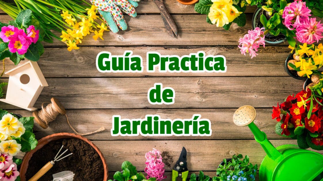 🥇 🥇 Guía Practica De Jardinería Pdf 🥇