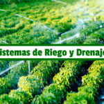 Guía de Estudio de Sistemas de Riego y Drenaje Agrícola PDF - Cultivando Flores
