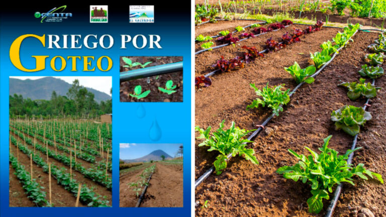🥇 🥇 Guía de Sistemas de Riego por Goteo - PDF 🥇