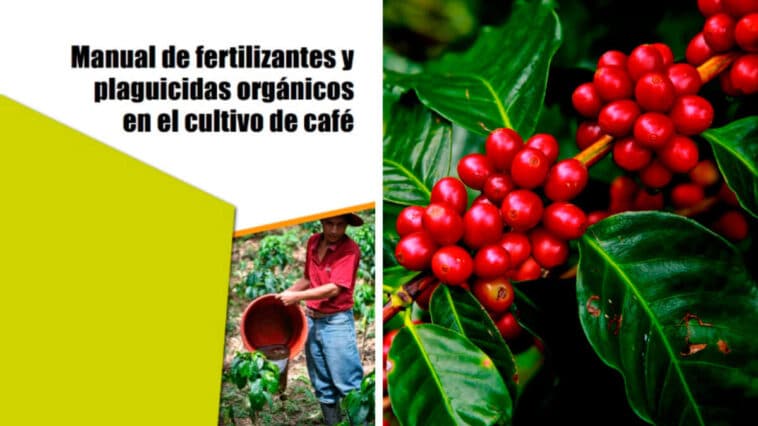 Guía para Preparar Fertilizantes y Plaguicidas para el Cultivo de Café PDF - Cultivando Flores