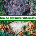 Libro de Botánica Sistemática PDF - Cultivando Flores