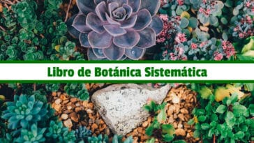 Libro de Botánica Sistemática PDF - Cultivando Flores